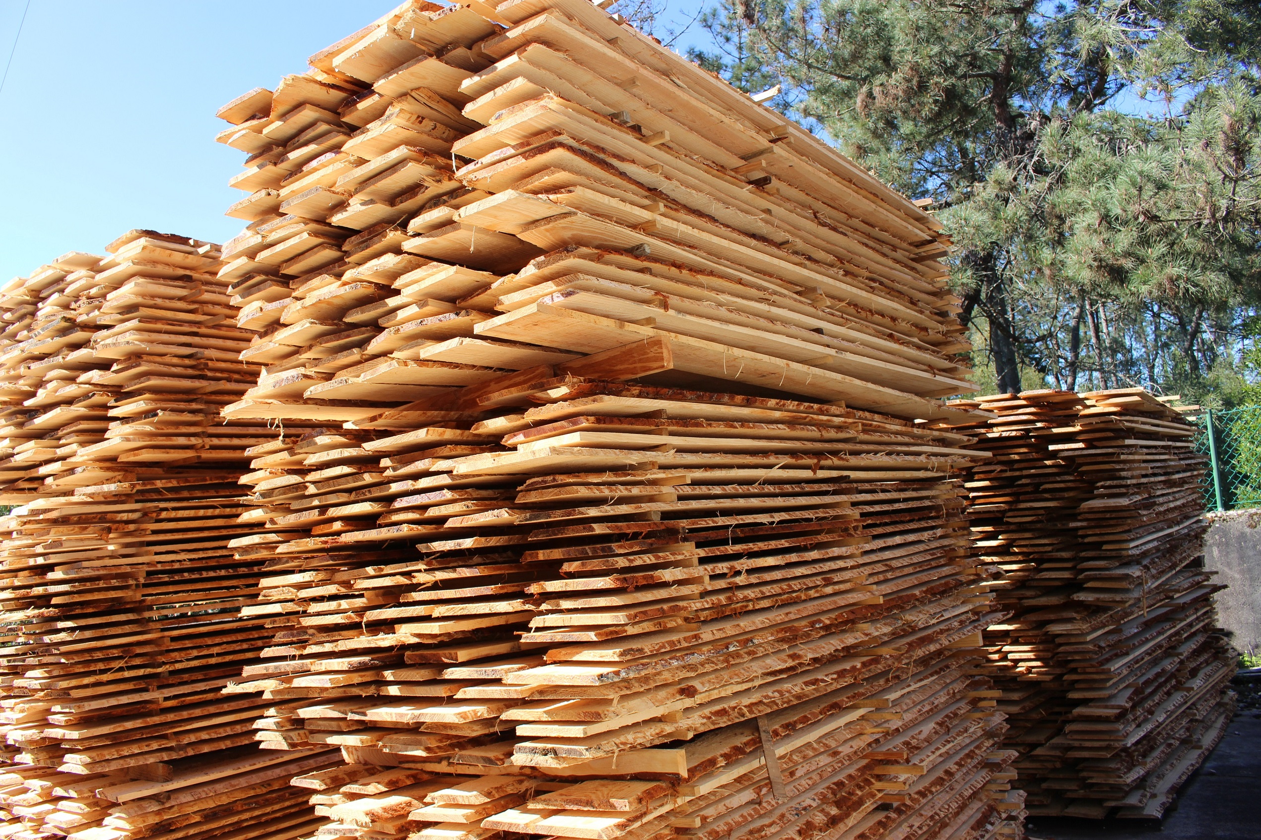 Madera aserrada para la construcción civil